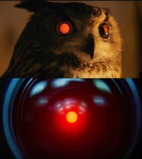 photo/248a041c-e394-4dc9-b6bb-f111cdfd341f-3