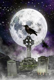 photo/2f685910-6f61-4f11-a99f-f5e72d11b020-3