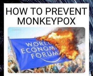 wef-monkey-pox.jpg