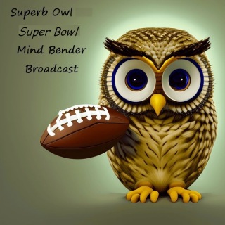 superb-owl-super-bowl.jpg