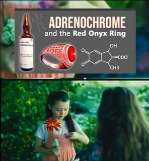 photo/6cbc386f-db44-4d47-9014-b5b0a3c05a9f-3