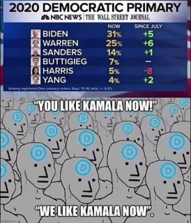 like-kamala-now.jpg