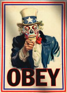 photo/8906c325-90f9-462c-b8fc-e45d4ae29322-3