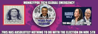 monkry-pox-global-emergency-who-votes.jpg