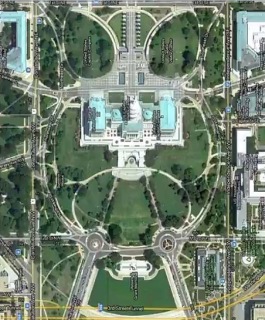 the-owl-of-the-capital(1).jpg